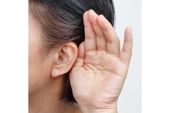 Image Image